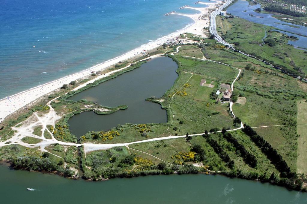 Au Reveil Des Cigales Hotel Saint Aygulf Buitenkant foto