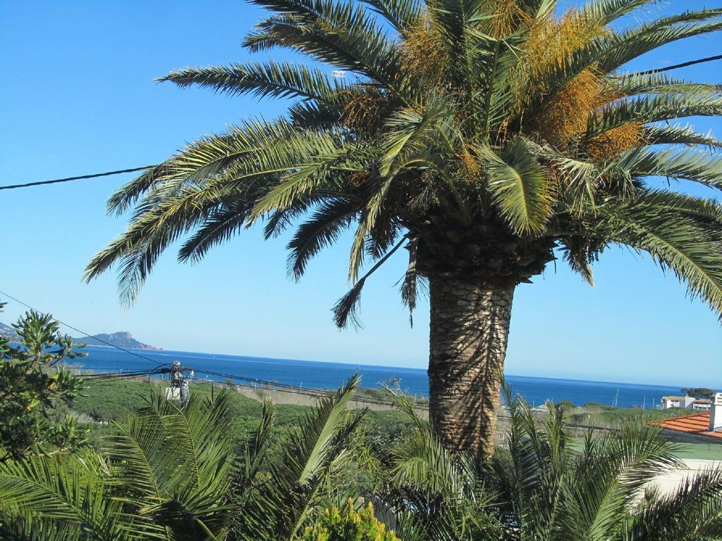 Au Reveil Des Cigales Hotel Saint Aygulf Buitenkant foto